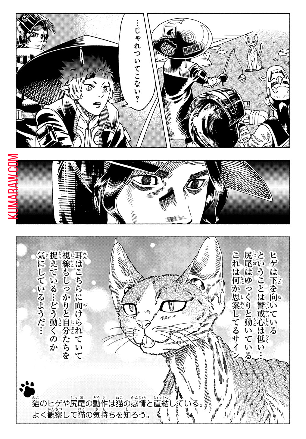 ニャイト・オブ・ザ・リビングキャット 第9.1話 - Page 16