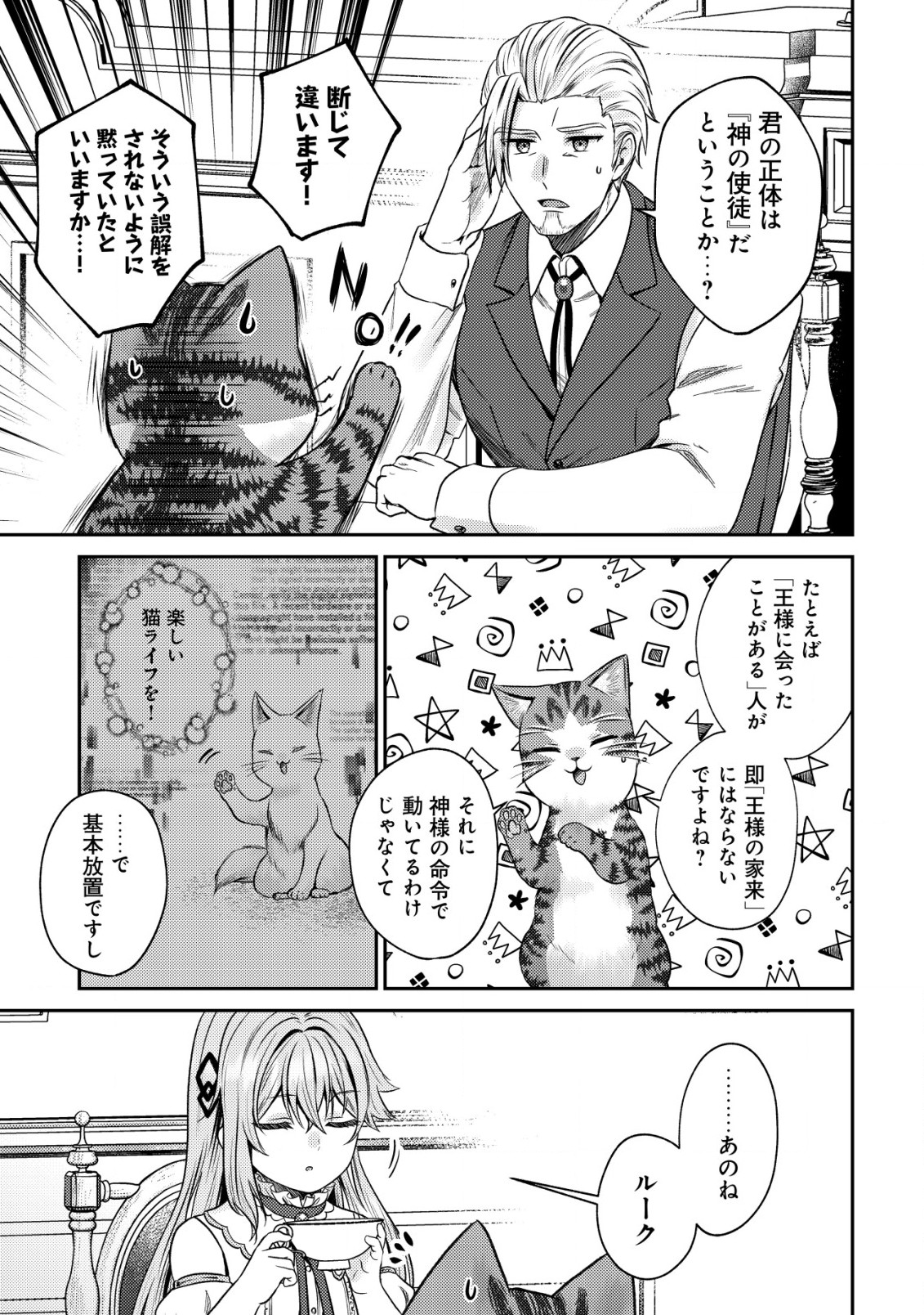 我輩は猫魔導師である～キジトラ・ルークの快適チート猫生活～ 第12.2話 - Page 9